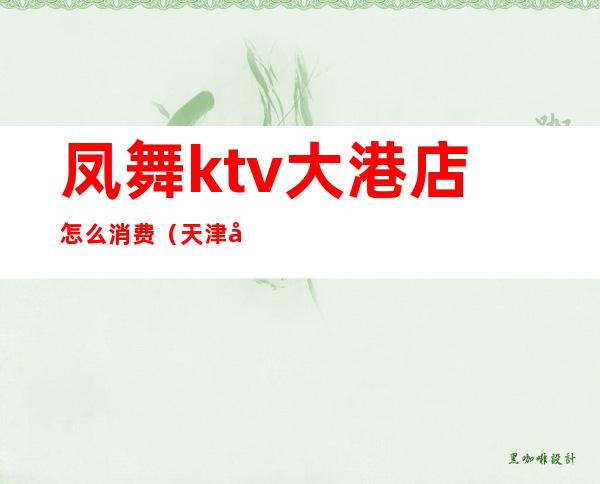 凤舞ktv大港店怎么消费（天津大港凤舞KTV）