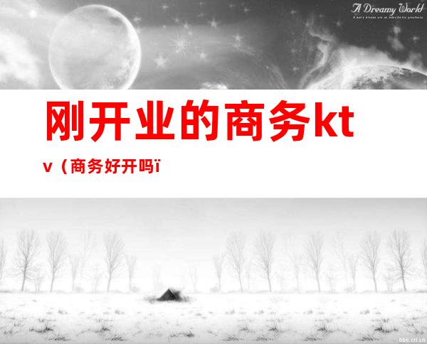 刚开业的商务ktv（商务好开吗）