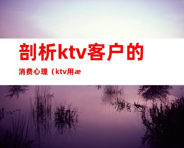 剖析ktv客户的消费心理（ktv用户需求分析）