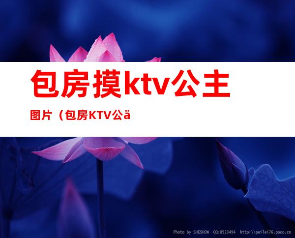 包房摸ktv公主图片（包房KTV公主）