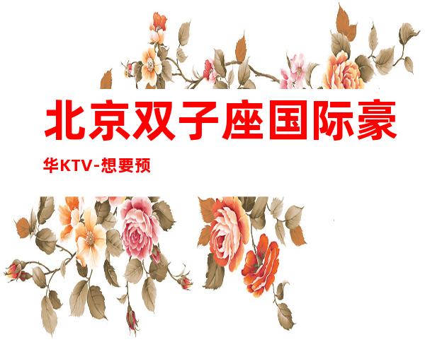 北京双子座国际豪华KTV-想要预约夜总会就来扣我吧