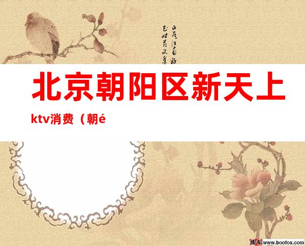 北京朝阳区新天上ktv消费（朝阳广场KTV）