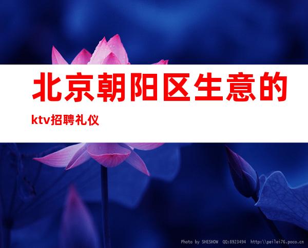 北京朝阳区生意的ktv招聘礼仪