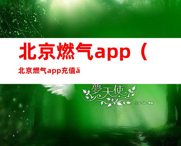 北京燃气app（北京燃气app充值不成功）