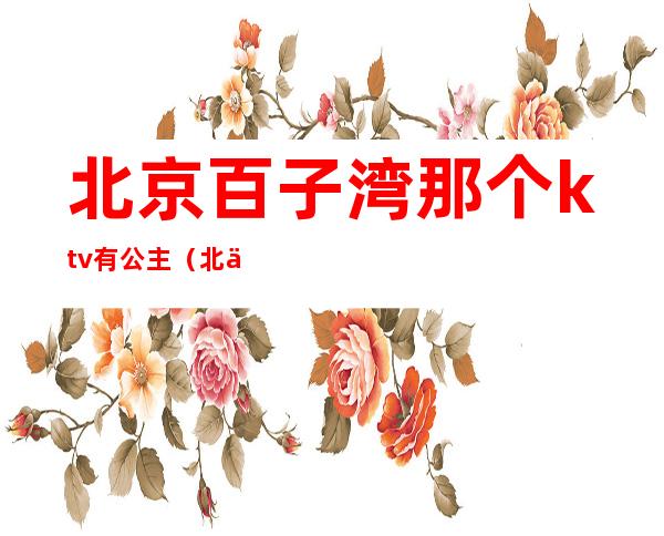 北京百子湾那个ktv有公主（北京哪些ktv有公主）