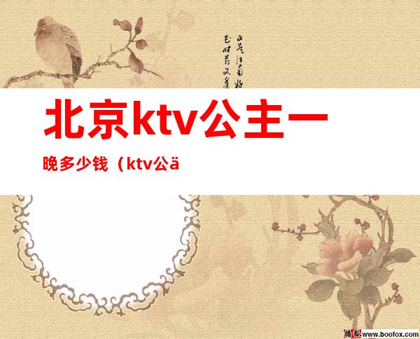 北京ktv公主一晚多少钱（ktv公主一天多少钱）