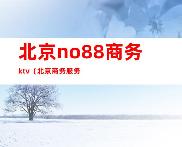 北京no.88商务ktv（北京商务服务）