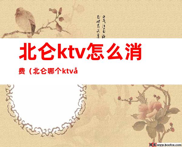 北仑ktv怎么消费（北仑哪个ktv好玩）