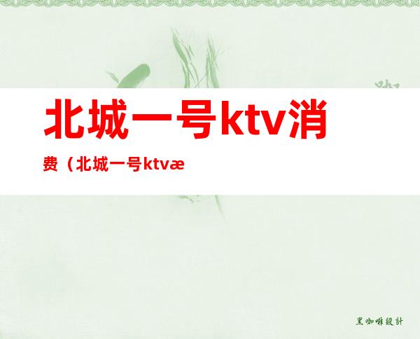 北城一号ktv消费（北城一号ktv消费多少）