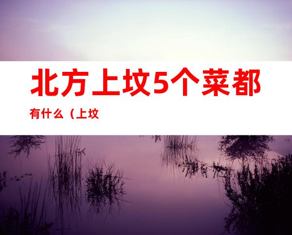 北方上坟5个菜都有什么（上坟五碗菜都有什么）