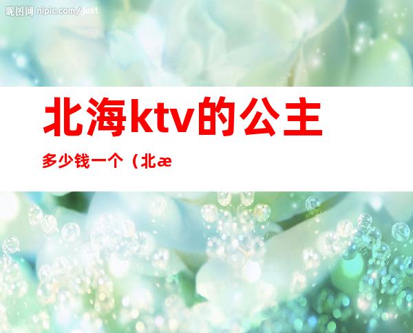 北海ktv的公主多少钱一个（北海美丽会ktv公主多少钱）