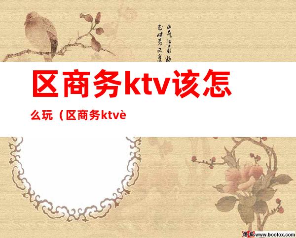 区商务ktv该怎么玩（区商务ktv该怎么玩的）