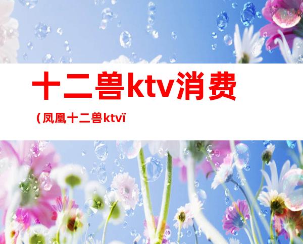 十二兽ktv消费（凤凰十二兽ktv）