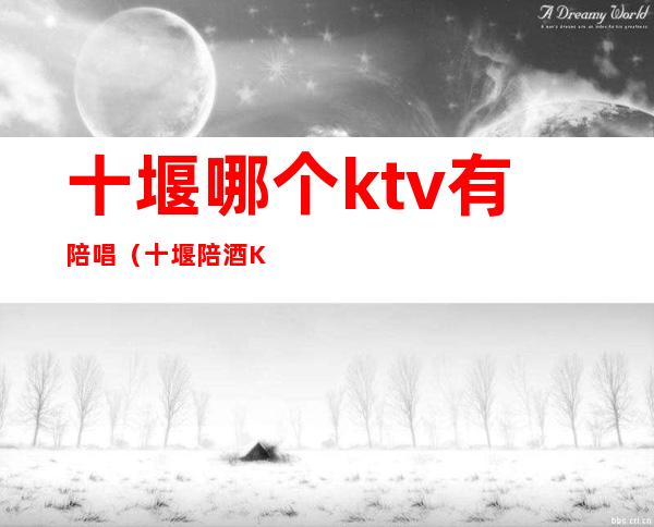 十堰哪个ktv有陪唱（十堰陪酒KTV）