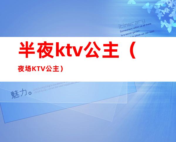 半夜ktv公主（夜场KTV公主）