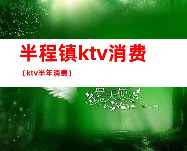 半程镇ktv消费（ktv半年消费）