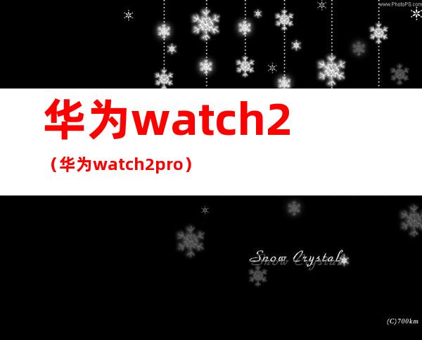 华为watch2（华为watch2pro）