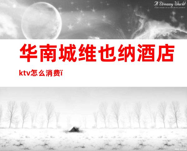 华南城维也纳酒店ktv怎么消费（城阳维也纳ktv）