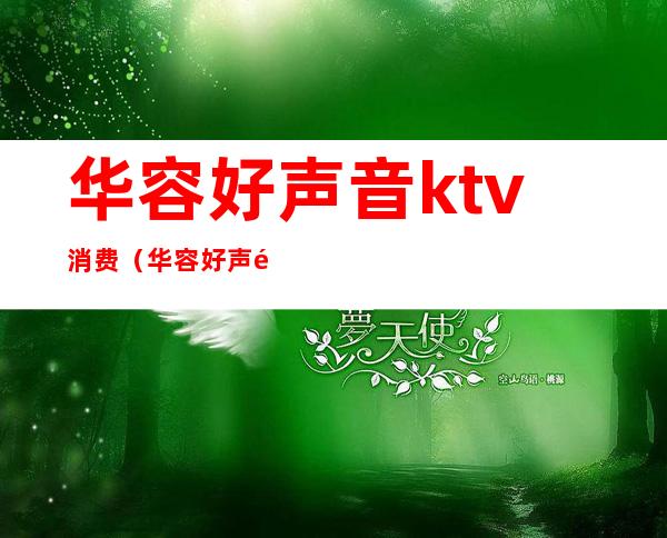 华容好声音ktv消费（华容好声音ktv消费怎么样）