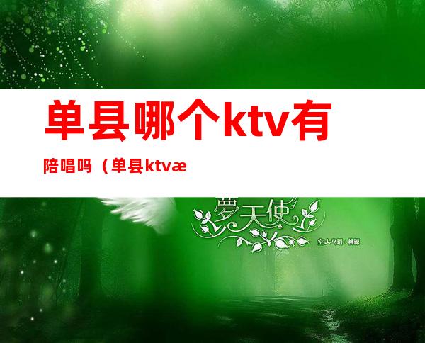 单县哪个ktv有陪唱吗（单县ktv怎么消费）