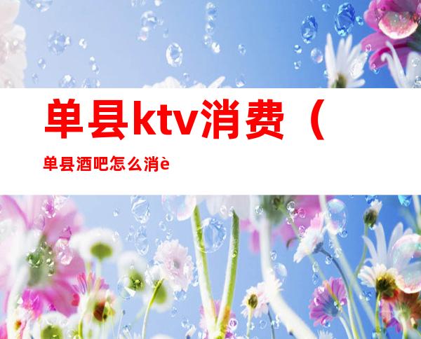 单县ktv消费（单县酒吧怎么消费的）