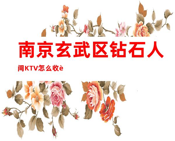 南京玄武区钻石人间KTV怎么收费-更高KTV消费介绍