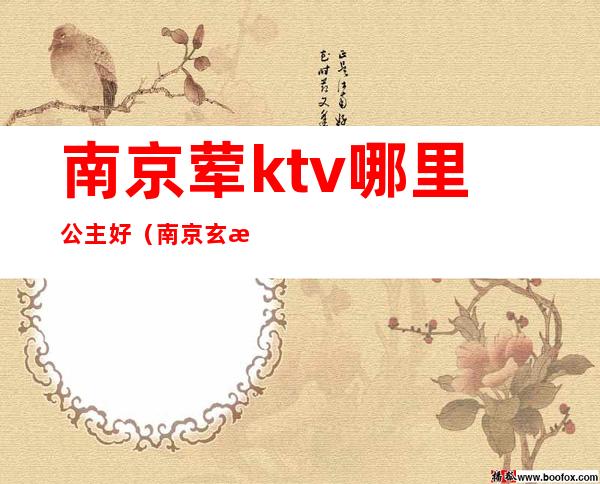 南京荤ktv哪里公主好（南京玄武区ktv哪里有公主）