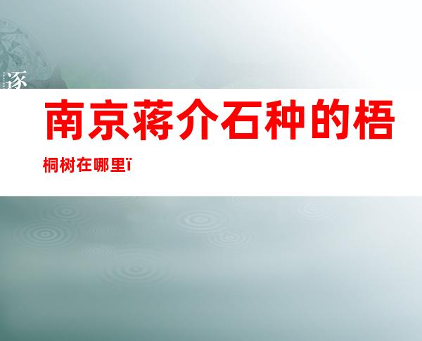 南京蒋介石种的梧桐树在哪里（蒋介石种的梧桐树在南京哪个地方）