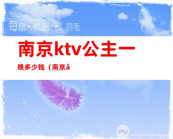 南京ktv公主一晚多少钱（南京哪家ktv有公主）