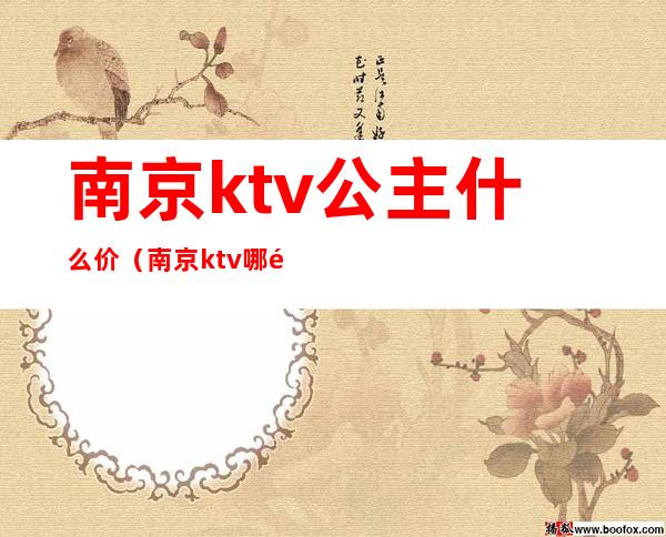 南京ktv公主什么价（南京ktv哪里有公主）