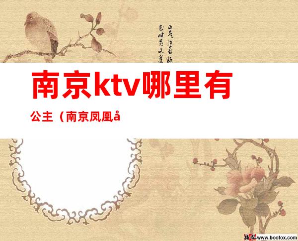 南京ktv哪里有公主（南京凤凰台ktv招聘公主）