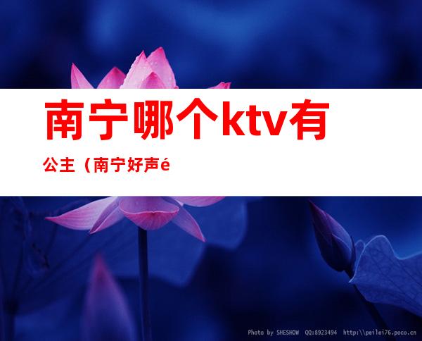 南宁哪个ktv有公主（南宁好声音ktv公主）