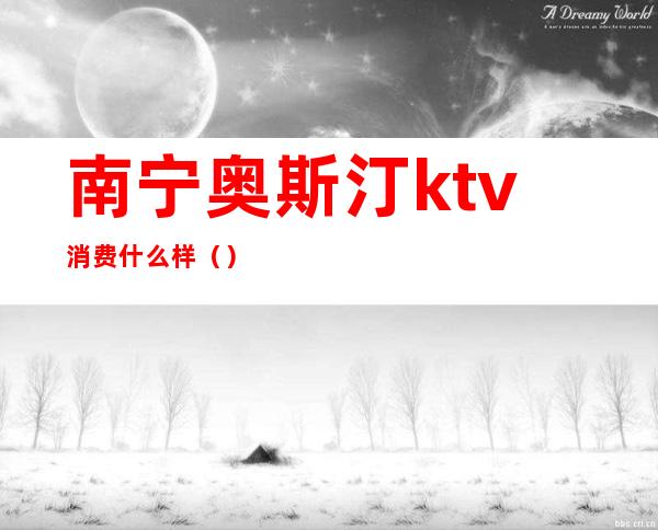 南宁奥斯汀ktv消费什么样（）