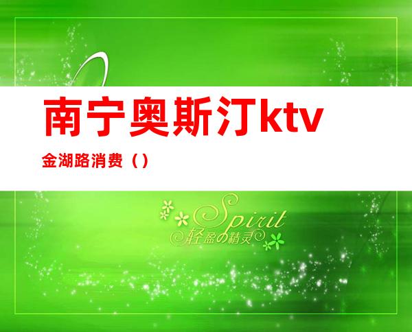 南宁奥斯汀ktv金湖路消费（）