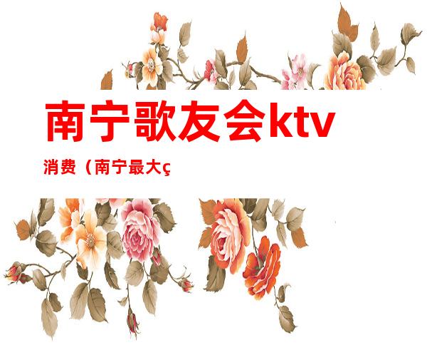 南宁歌友会ktv消费（南宁最大的KTV）