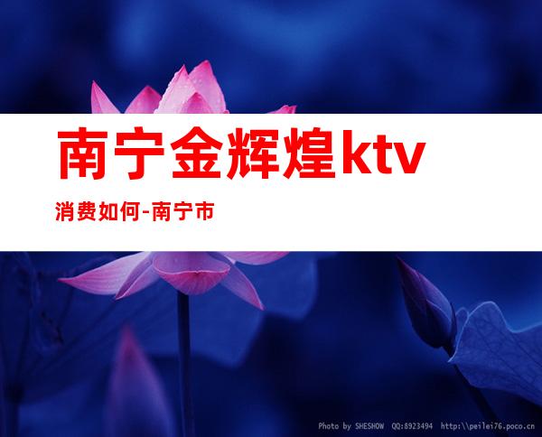 南宁金辉煌ktv消费如何-南宁市的KTV消费