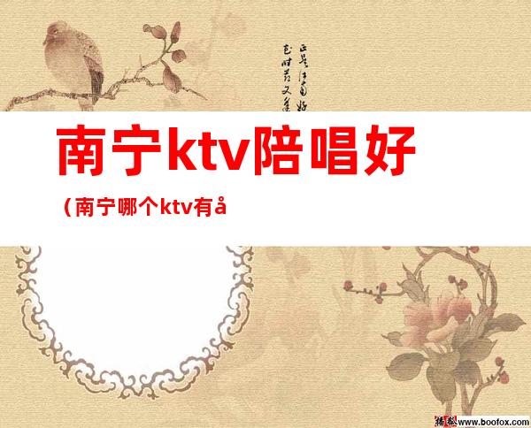 南宁ktv陪唱好（南宁哪个ktv有包房打碟）