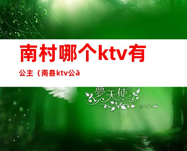 南村哪个ktv有公主（南县ktv公主）