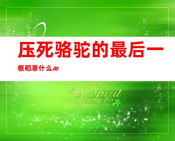 压死骆驼的最后一根稻草什么意思（压死骆驼得最后一根稻草是什么意思）