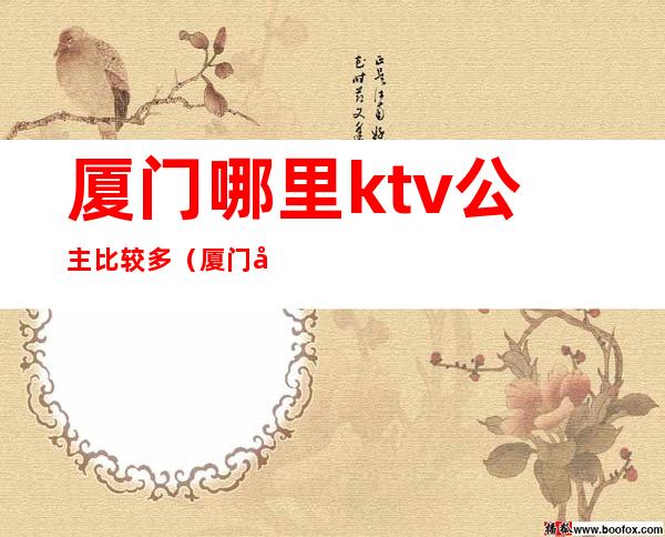 厦门哪里ktv公主比较多（厦门天使城ktv公主多少钱）