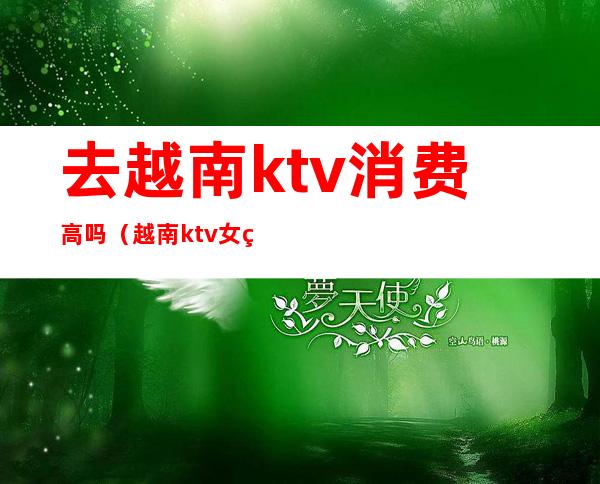 去越南ktv消费高吗（越南ktv女的带出去多少钱）