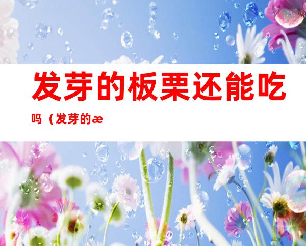 发芽的板栗还能吃吗（发芽的板栗还能吃吗?）