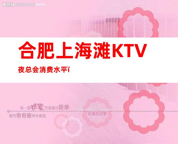 合肥上海滩KTV夜总会消费水平，上海滩是商务的吗。