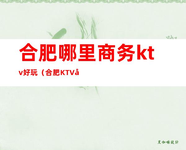 合肥哪里商务ktv好玩（合肥KTV哪家玩得开）