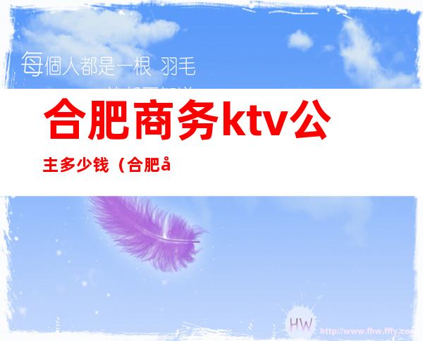 合肥商务ktv公主多少钱（合肥商务ktv订房多少钱）