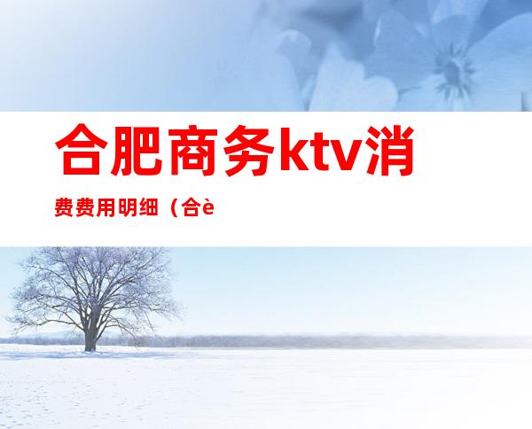 合肥商务ktv消费费用明细（合肥有哪些商务KTV）