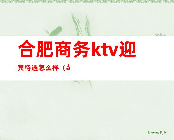 合肥商务ktv迎宾待遇怎么样（合肥商务ktv订房多少钱）