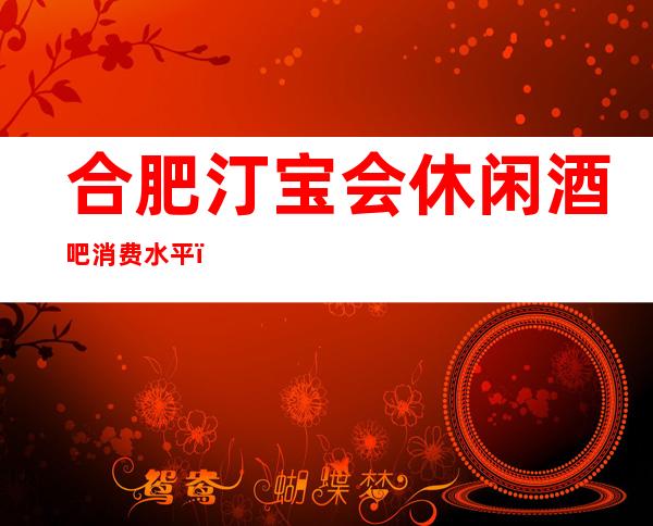 合肥汀宝会休闲酒吧消费水平,汀宝会是商务的吗。