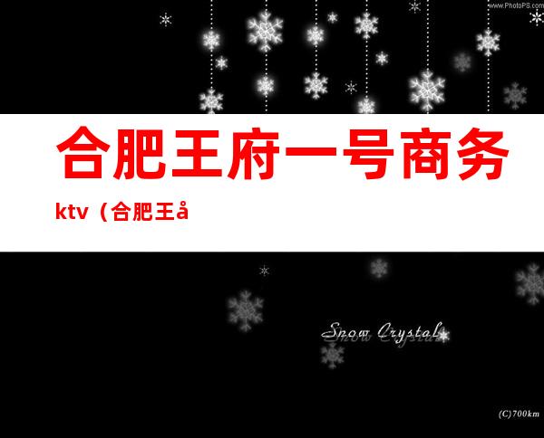 合肥王府一号商务ktv（合肥王府一号商务会所）