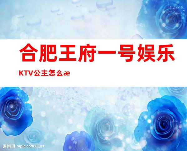 合肥王府一号娱乐KTV公主怎么样，包厢酒水消费价格表。